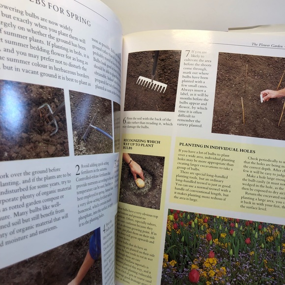 The Practical Gardening Encyclopedia By McHoy, Peter Peter McHoy Hardcover 250pg - Picture 12 of 14